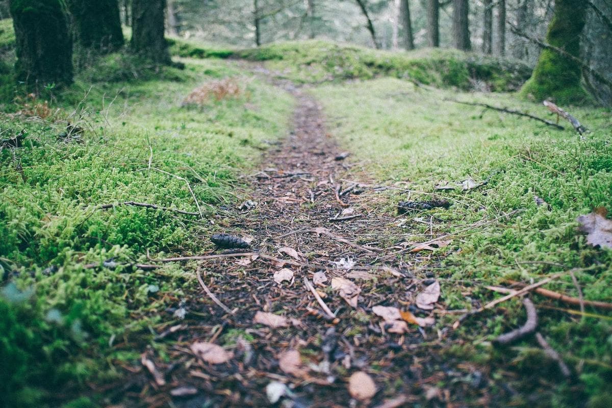Pronóstico del mercado de vivienda de Fannie Mae para julio 2026